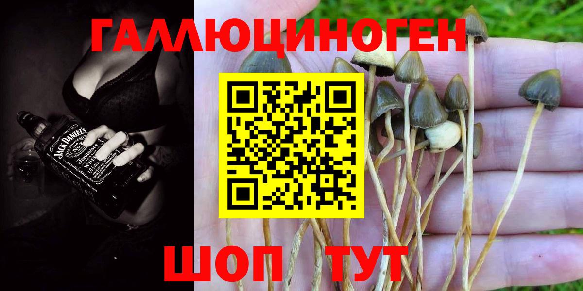 Галлюциногенные грибы мухоморы Партизанск